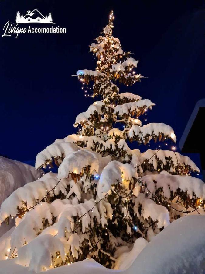 Alpen Royal By Livigno Accomodation Extérieur photo